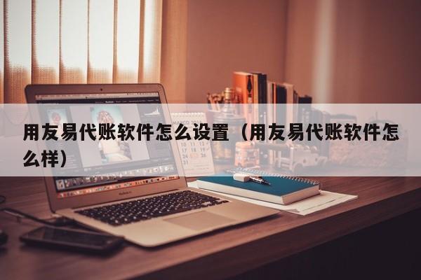 用友易代账软件怎么设置（用友易代账软件怎么样）