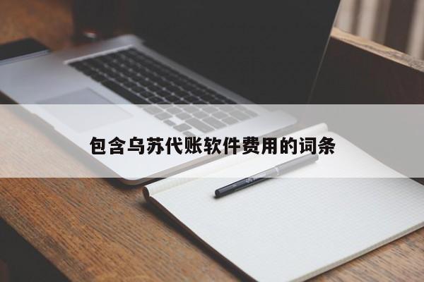 包含乌苏代账软件费用的词条