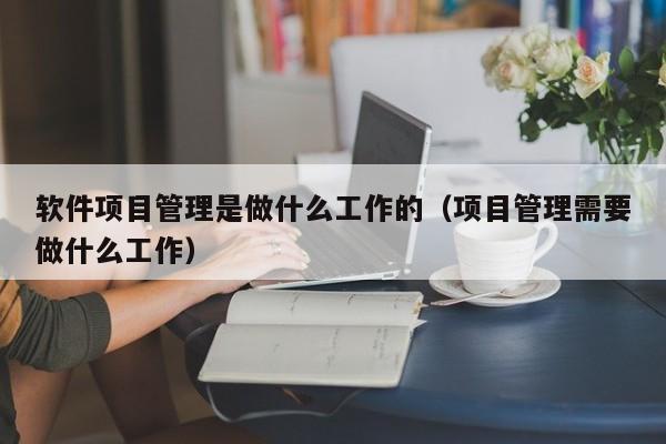 软件项目管理是做什么工作的（项目管理需要做什么工作）