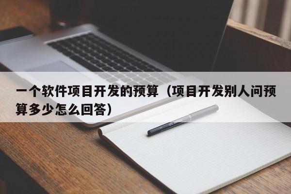 一个软件项目开发的预算（项目开发别人问预算多少怎么回答）