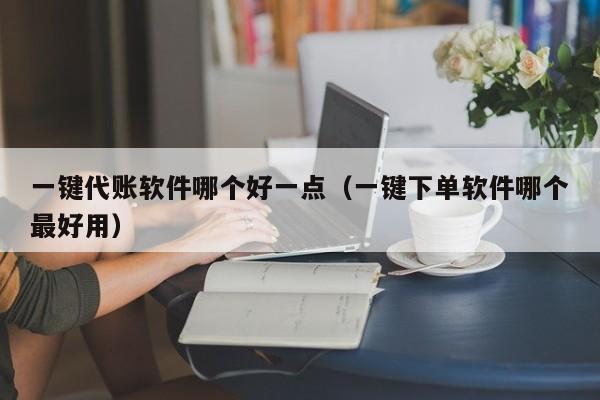 一键代账软件哪个好一点（一键下单软件哪个最好用）