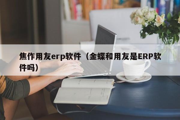 焦作用友erp软件（金蝶和用友是ERP软件吗）