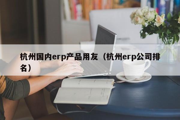 杭州国内erp产品用友（杭州erp公司排名）