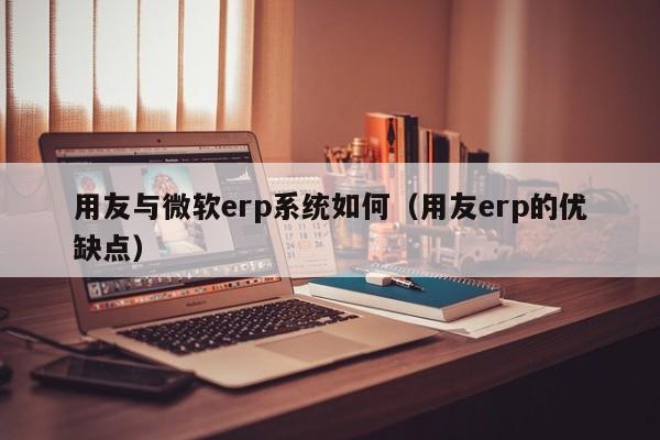 用友与微软erp系统如何（用友erp的优缺点）