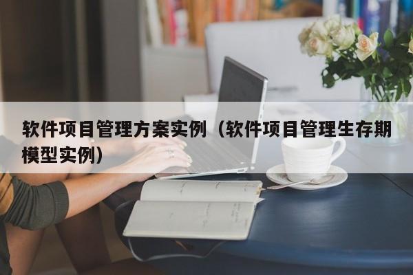 软件项目管理方案实例（软件项目管理生存期模型实例）