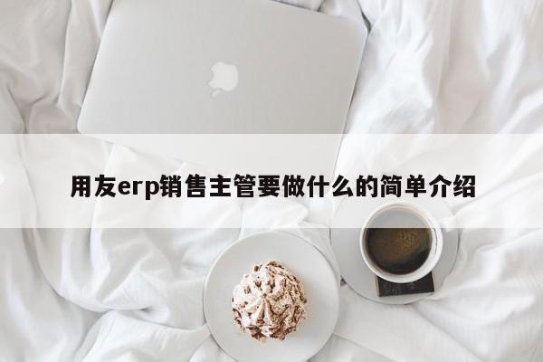 用友erp销售主管要做什么的简单介绍