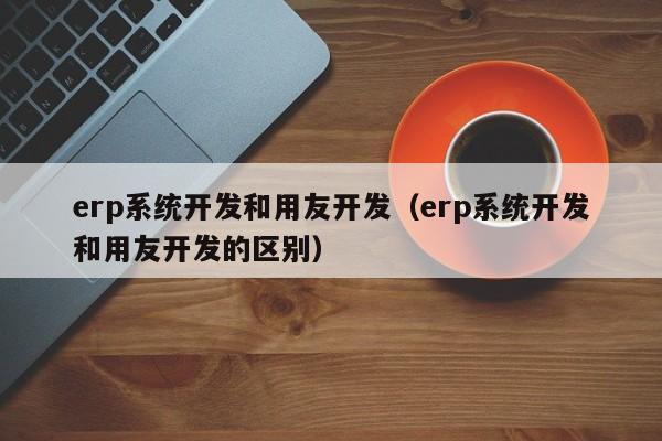 erp系统开发和用友开发（erp系统开发和用友开发的区别）