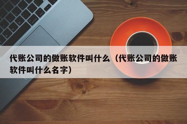 代账公司的做账软件叫什么（代账公司的做账软件叫什么名字）