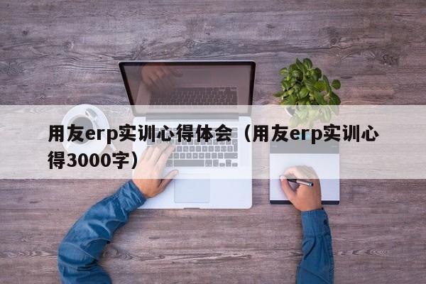 用友erp实训心得体会（用友erp实训心得3000字）