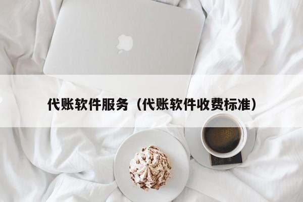 代账软件服务（代账软件收费标准）