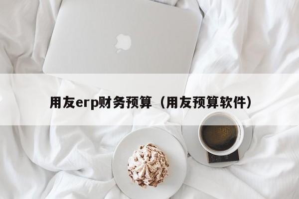 用友erp财务预算（用友预算软件）