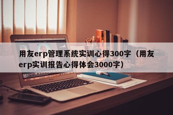 用友erp管理系统实训心得300字（用友erp实训报告心得体会3000字）