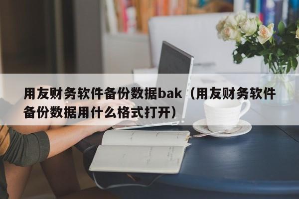 用友财务软件备份数据bak（用友财务软件备份数据用什么格式打开）