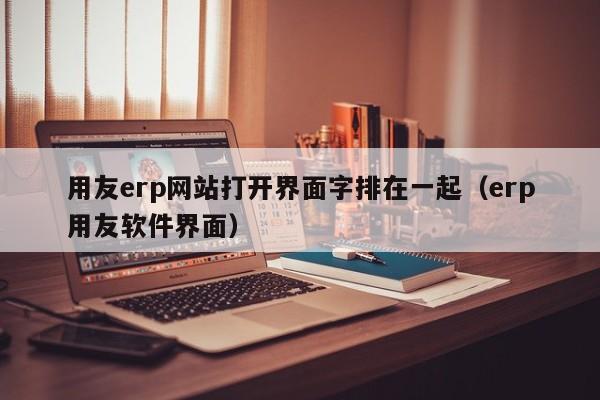 用友erp网站打开界面字排在一起（erp用友软件界面）