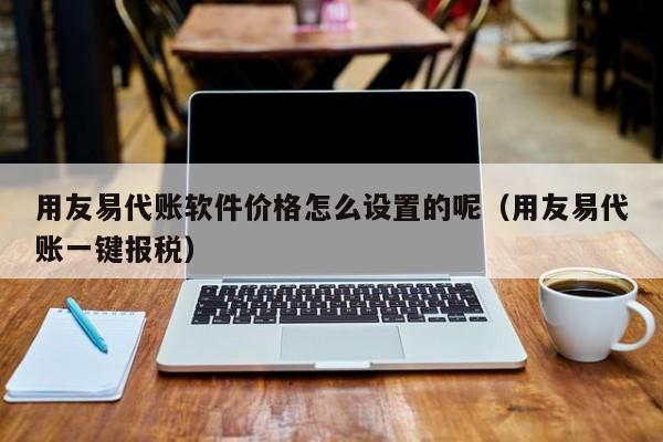 用友易代账软件价格怎么设置的呢（用友易代账一键报税）