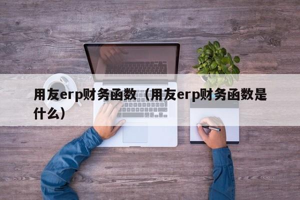 用友erp财务函数（用友erp财务函数是什么）