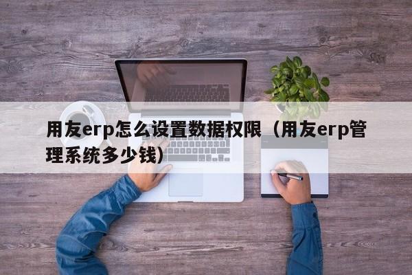 用友erp怎么设置数据权限（用友erp管理系统多少钱）