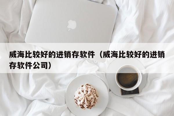 威海比较好的进销存软件（威海比较好的进销存软件公司）