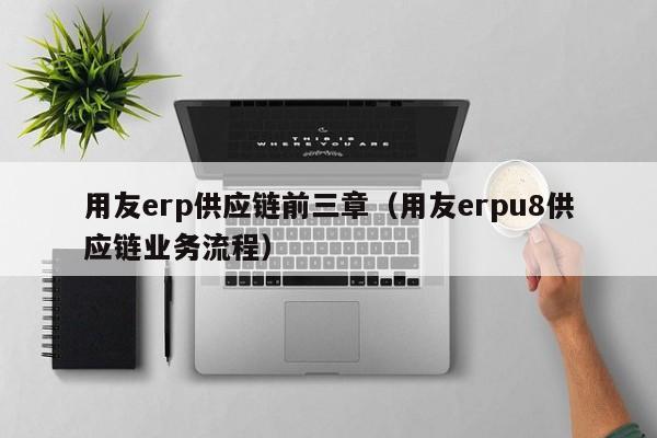 用友erp供应链前三章（用友erpu8供应链业务流程）