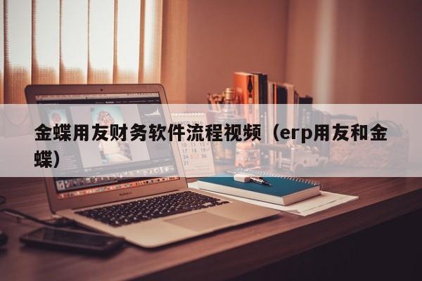 金蝶用友财务软件流程视频（erp用友和金蝶）