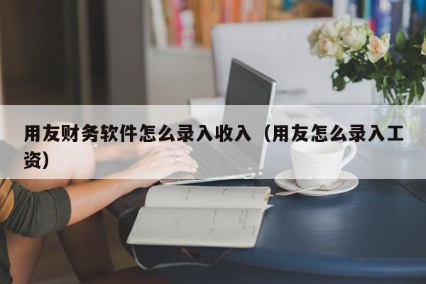 用友财务软件怎么录入收入（用友怎么录入工资）