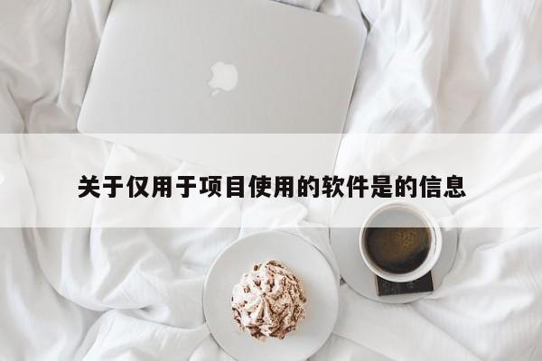 关于仅用于项目使用的软件是的信息