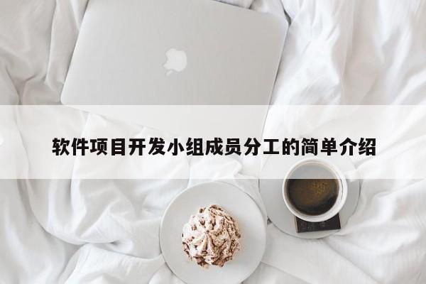 软件项目开发小组成员分工的简单介绍