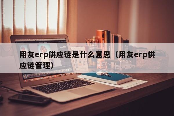 用友erp供应链是什么意思（用友erp供应链管理）