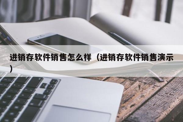 进销存软件销售怎么样（进销存软件销售演示）