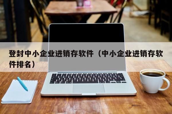 登封中小企业进销存软件（中小企业进销存软件排名）