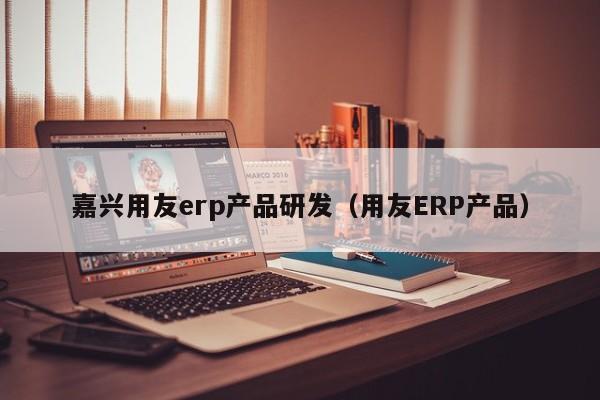 嘉兴用友erp产品研发（用友ERP产品）