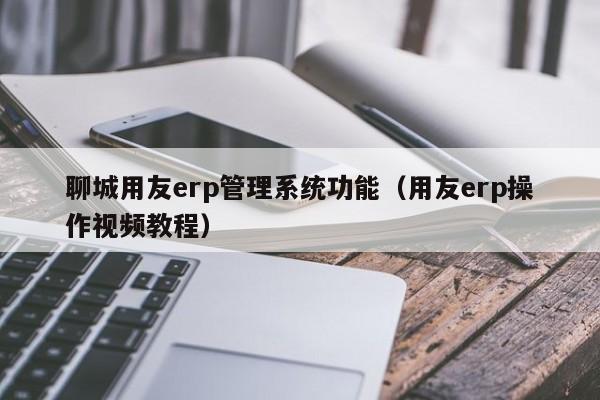 聊城用友erp管理系统功能（用友erp操作视频教程）