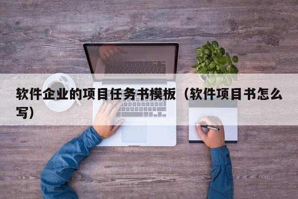 软件企业的项目任务书模板（软件项目书怎么写）