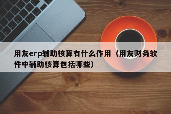 用友erp辅助核算有什么作用（用友财务软件中辅助核算包括哪些）