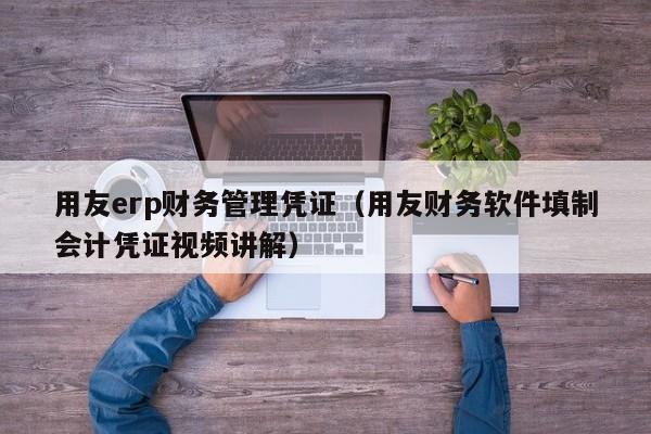 用友erp财务管理凭证（用友财务软件填制会计凭证视频讲解）