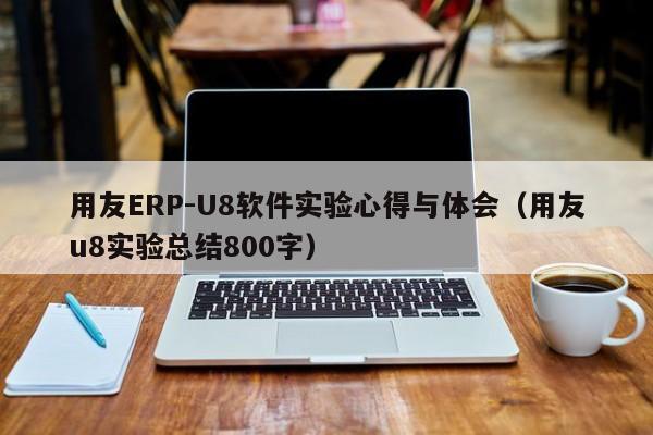 用友ERP-U8软件实验心得与体会（用友u8实验总结800字）