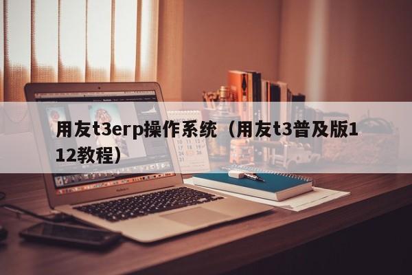 用友t3erp操作系统（用友t3普及版112教程）