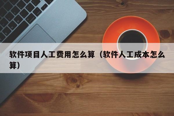 软件项目人工费用怎么算（软件人工成本怎么算）