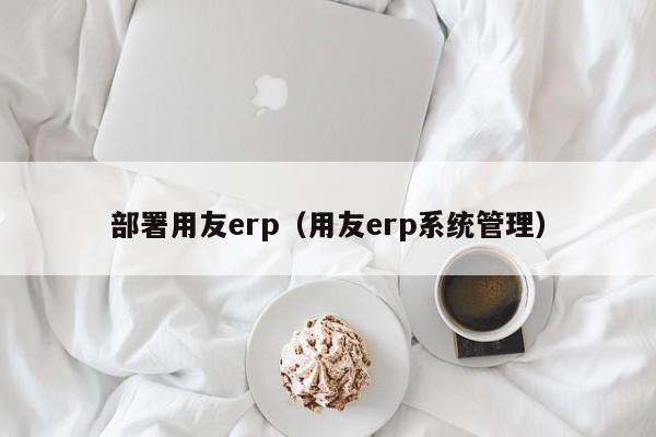 部署用友erp（用友erp系统管理）