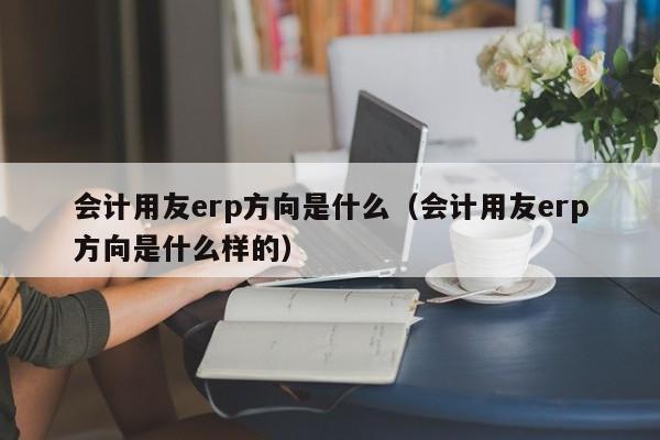 会计用友erp方向是什么（会计用友erp方向是什么样的）