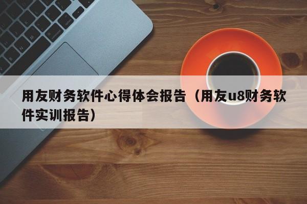 用友财务软件心得体会报告（用友u8财务软件实训报告）