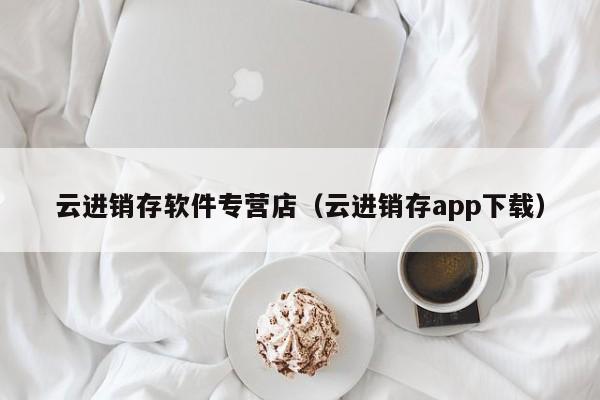 云进销存软件专营店（云进销存app下载）