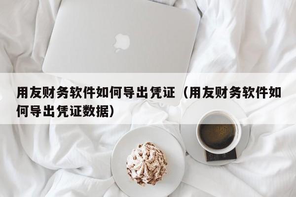 用友财务软件如何导出凭证（用友财务软件如何导出凭证数据）