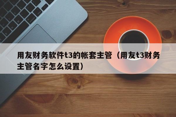 用友财务软件t3的帐套主管（用友t3财务主管名字怎么设置）