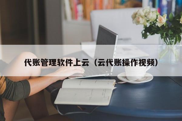 代账管理软件上云（云代账操作视频）