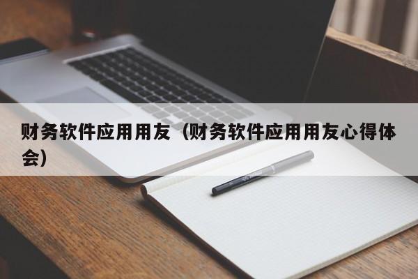 财务软件应用用友（财务软件应用用友心得体会）