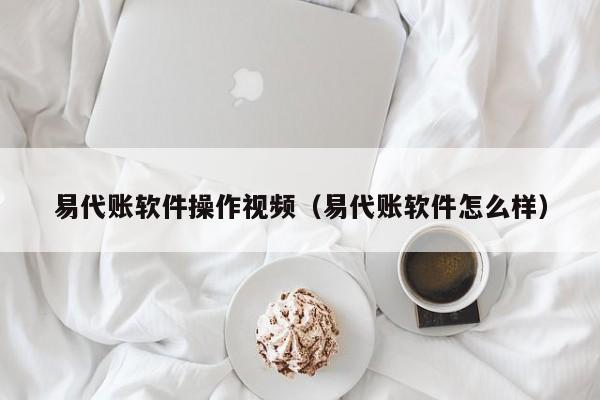 易代账软件操作视频（易代账软件怎么样）