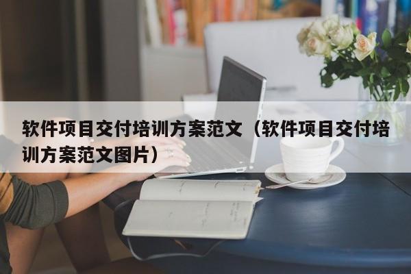 软件项目交付培训方案范文（软件项目交付培训方案范文图片）