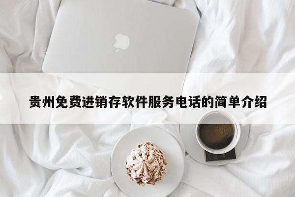 贵州免费进销存软件服务电话的简单介绍