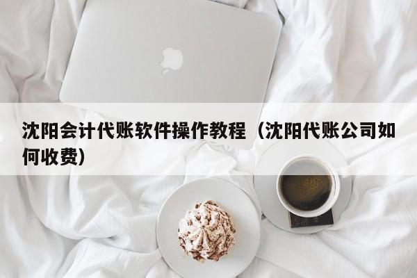 沈阳会计代账软件操作教程（沈阳代账公司如何收费）